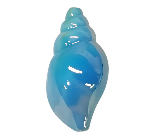 Blue Shell Acrylic Beads
