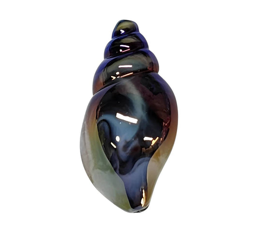 Black Shell Acrylic Beads